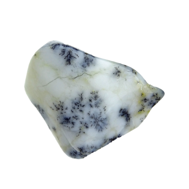Opal Dendritic