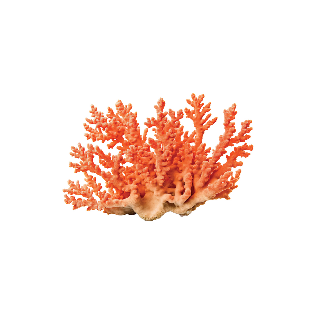 CORAL