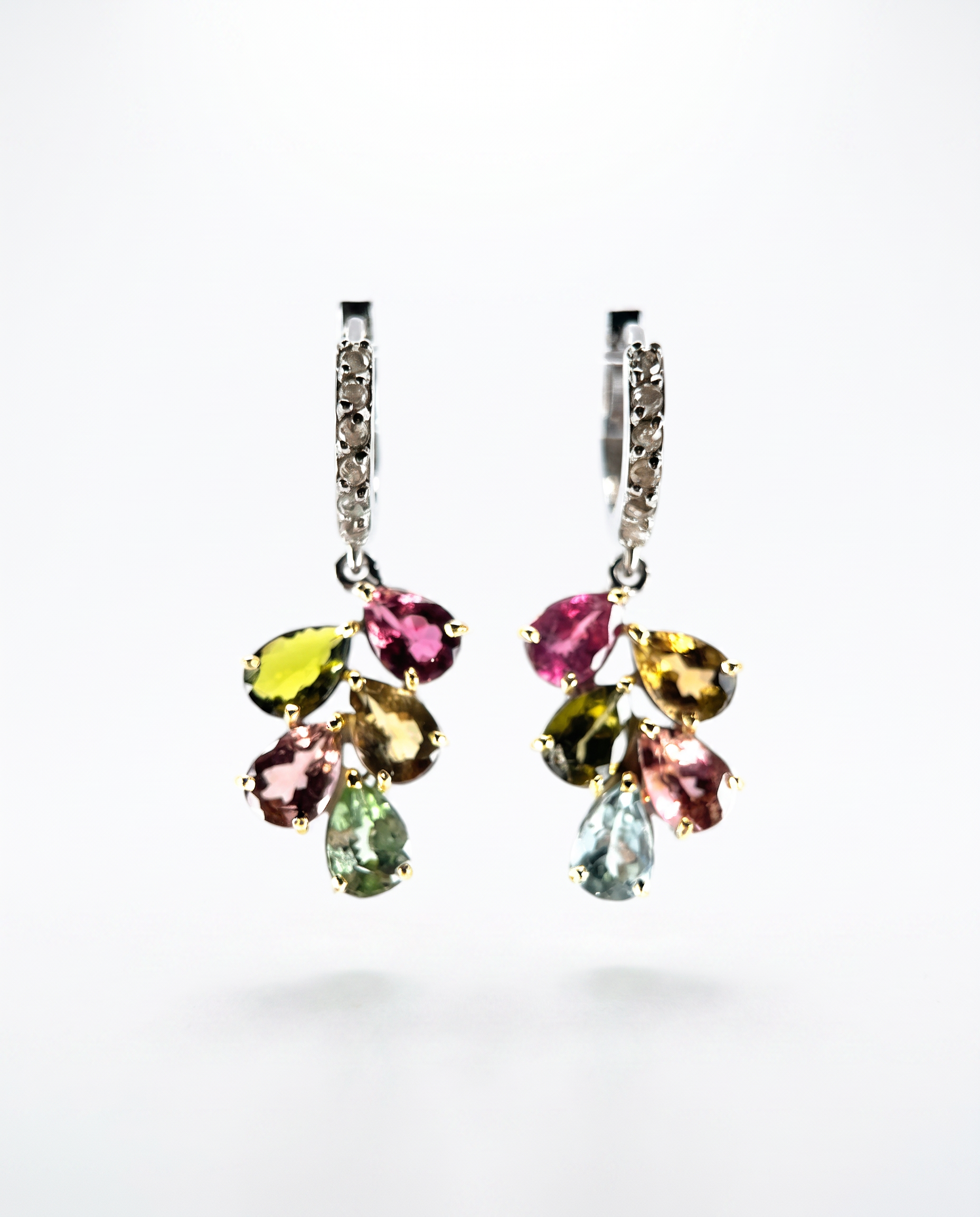 WINGED EARRINGS